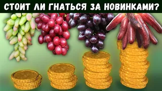 Виноград , новинки , стоит ли гнаться за ними ?