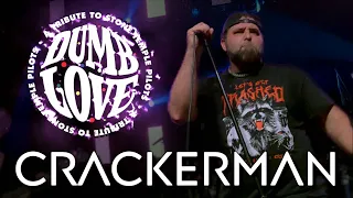 Crackerman - Dumb Love LIVE at Park City Music Hall