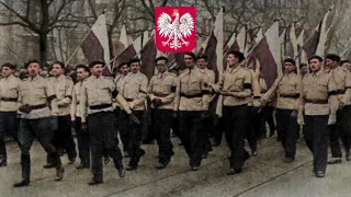 Hymn Wolontariuszy Polskich - Hymn Of Polish Volunteers - Unofficial Anthem Of Polish National Party