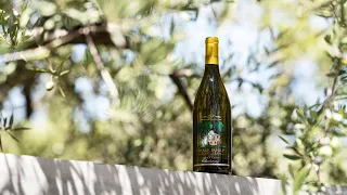 Frank Family Vineyards Named Best Napa Winery & Best White Wine