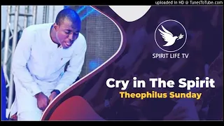 Theophilus Sunday | cry in the spirit