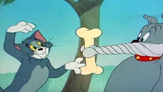 Tom & Jerry | Classic Cartoon | The Framed Cat