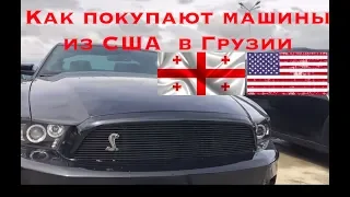 Цены на авторынке Автопапа апрель 2019. Пригон авто из США Грузии в Украину  Autopapa