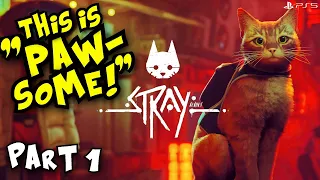 Stray the CUTE CAT GAME Playthrough Part 1 PS5 HD | Blind FULL Gameplay