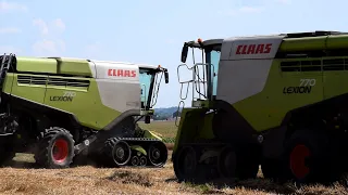 Žně 2020 - 2 x Claas LEXION 770 I Wheat harvest 2020 I Lexion 770