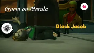 Crucio on Merula Harry Potter Hogwarts Mystery