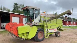 Köp Tröska Claas Dominator 38 S på Klaravik