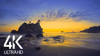 8HRS Soothing Song of Ocean Waves at the Sunset - 4K Amazing Decline of the Day at Ruby Beach