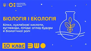 10 клас. Біологія і екологія. Білки, нуклеїнові кислоти, вуглеводи, ліпіди