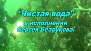 Сергей Безруков-Чистая вода.