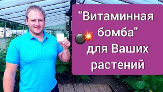 "Витаминная бомба" для растений