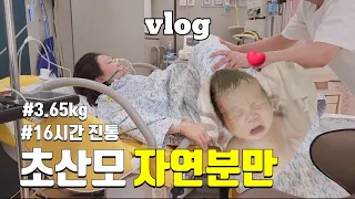 [오방로그] 출산특집#1 블랙아웃됐던 초산모 자연분만🤰 | 3.65kg👶| 16시간 진통