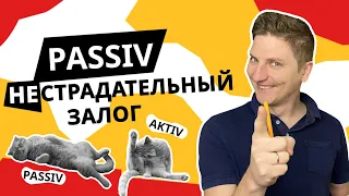 Пассив в немецком (PASSIV) на примерах | Страдательный залог