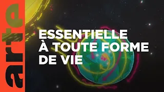 Où trouver l’énergie parfaite ? | 42, la réponse à presque tout | ARTE