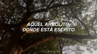 Grupo Néctar - El Arbolito // Letra