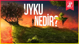 Uyku: Neden Uyuyoruz? Günde Kaç Saat ve Kaç Defa Uyumalıyız?