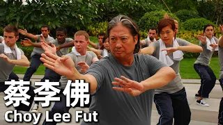 Choy Lee Fut (2011) 1080P Chinese Boxing is challenged, how young people react?