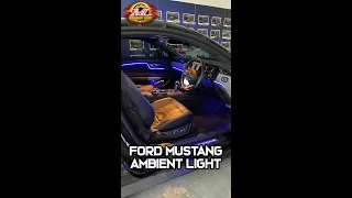 Ford Mustang Ambient Light