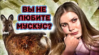 ПОГОВОРИМ О ВЕЛИКИХ И УЖАСНЫХ МУСКУСАХ