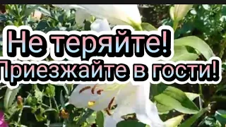 Не теряйте меня, если что! Приезжайте в гости!