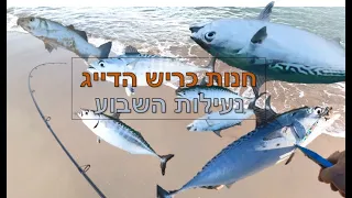 דייג בוקר | חנות כריש הדייג 2023