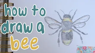 How to Draw a Bee | Easy Art Lesson for Elementary Kids