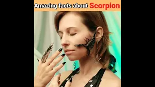 Amazing Facts about scorpions 🦂   most dangerous scorpion #shorts