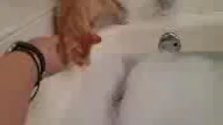 Kitten falls into a bath tub