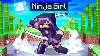 Playing As a NINJA Girl In Minecraft!