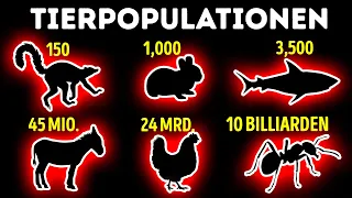 Die kleinsten und größten Tierpopulationen im Vergleich