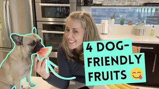 Four Dog-Friendly Fruits that will Keep Your Dog Happy and Healthy