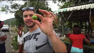 #6 Сельский базар в Доминикане | Real Dominican fruit market