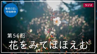 第56回「花をみてほほえむ」2021/3/3【毎日の管長日記と呼吸瞑想】｜ 臨済宗円覚寺派管長 横田南嶺老師