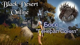 Black Desert Online- Босс " Генерал Сонил"