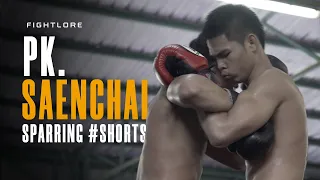 #shorts I Muay Thai Clinch at P.K. Saenchai Muaythai Gym I Fightlore Official