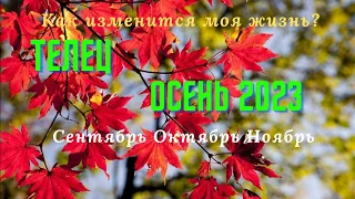 ТЕЛЕЦ♉ОСЕНЬ 2023: СЕНТЯБРЬ ОКТЯБРЬ НОЯБРЬ🌈КАК ИЗМЕНИТСЯ МОЯ ЖИЗНЬ?💫ГОРОСКОП ТАРО Ispirazione