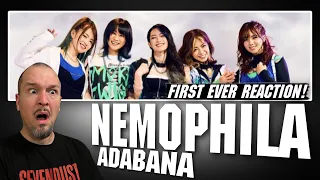 NEMOPHILA / 徒花 - ADABANA (Official Music Video) | REACTION!!!