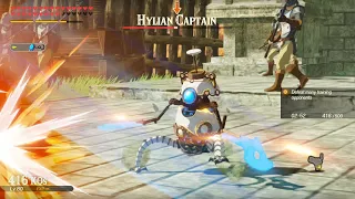 Hyrule Warriors: Age of Calamity - Terrako's Moveset Showcase