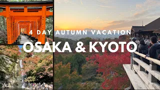 Osaka & Kyoto 4 Days Japan Travel 🇯🇵 Autumn leaves Minoo Falls, Arashiyama, Kyoto Temples, Uji