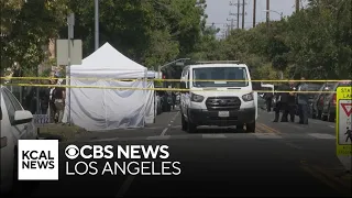 Bicyclist killed after pursuit suspect crashes in South LA neighborhood