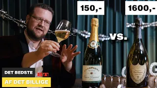 Det bedste af det billige - Champagne (Butikkernes udvalgte)