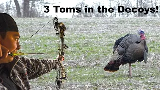 Bowhunting Gobblers on OPENING Day! Self-Filmed Iowa Turkey Hunt