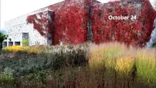 Four Season Border  at Toronto Botanical Garden