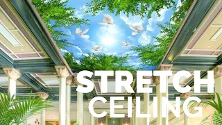 Stretch Ceiling India | What is Stretch Ceiling | Interior Design Tips | False Ceiling Ideas