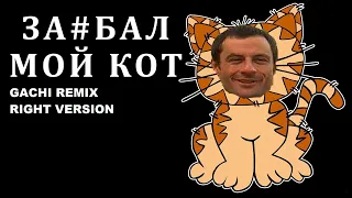 Красная Плесень - За*бал мой кот ( Яйца пушистые) (Gachi Remix) Right Version