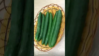 Japanese Cucumber Harvest