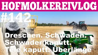 Hofmolkerei VLOG#142 Dreschen, Tele kaputt, Schwader kaputt,  extralang! Hofmolkerei Farmvlog