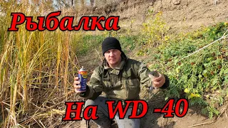 Рыбалка на поплавок в октябре.Ловля крупного  карася на WD-40.