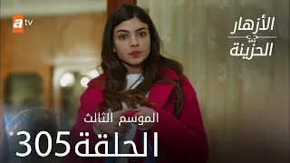 مسلسل الأزهار الحزينة | الحلقة 305 - الموسم الثالث