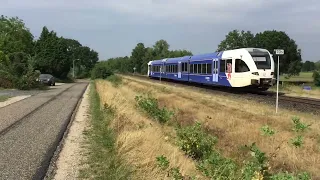 Arriva Train to Nijmegen at Grubbenvorst the Netherlands, August 15-2022 ! Trainspotting video 🎥👍👍👍🚂